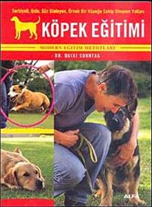 Köpek Eğitimi