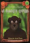 A Bear's Word