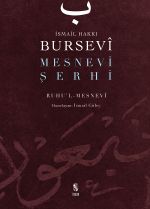 Mesnevi Şerhi