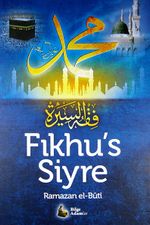Fıkhu's-Siyre