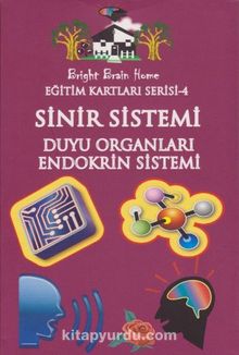 Eğitim Kartları Serisi 4 / Sinir Sistemi Duyu Organları-Endokrin Sistemi
