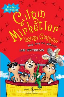 Çılgın Mirketler Uçuşa Geçiyor - Ian Whybrow