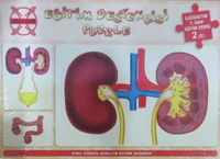 Eğitim Destekçisi Puzzle- İlköğretim 7. Sınıf Eğitim Serisi 2 (E)  / Böbrek Boşaltım Sistemi Bağırsak 3x80 Puzzle