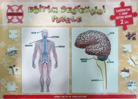 Eğitim Destekçisi Puzzle - İlköğretim 7. Sınıf Eğitim Serisi 2 (A) / Konu: Beyin ve Sinir Sistemi