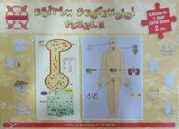Eğitim Destekçisi Puzzle - İlköğretim 7. Sınıf Eğitim Serisi 2 B) / Konu: İç Salgı Bezleri ve Emilim