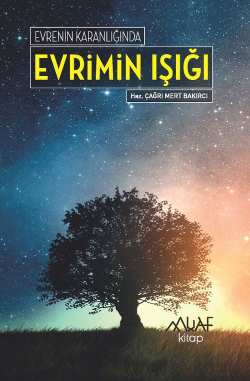 Evrenin Karanlığında  Evrimin Işığı
