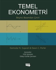 Temel Ekonometri