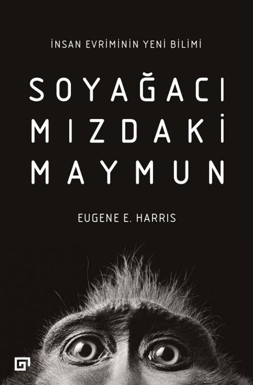 Soyağacımızdaki Maymun: İnsan Evriminin Yeni Bilimi