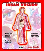 3 Boyutlu İnsan Vücudu