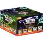 Bilgi Çağı Ansiklopedisi (12 Dvd+11 Kitap)