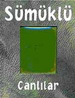 Sümüklü Canlılar