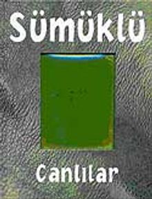 Sümüklü Canlılar