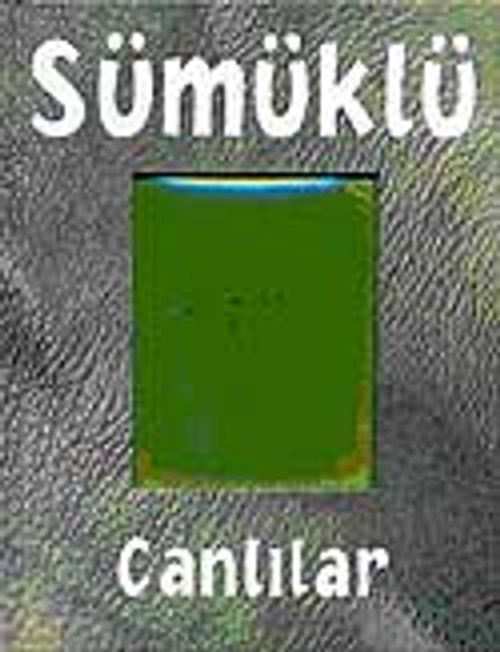 Sümüklü Canlılar