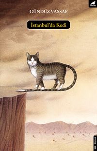 İstanbul’da Kedi
