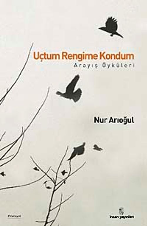 Uçtum Rengime Kondum & Arayış Öyküleri