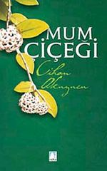 Mum Çiçeği
