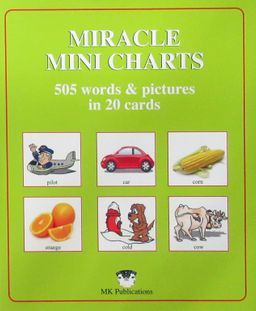 Miracle Mini Charts 505 Words In 20 Cards