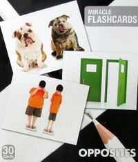 Miracle Flashcards Charts Opposites (30 Card)