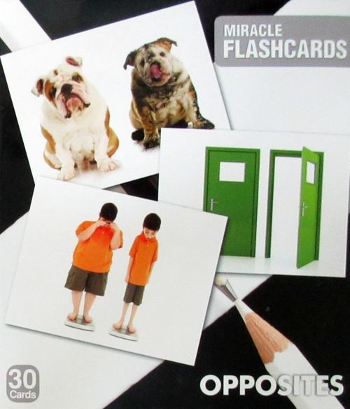 Miracle Flashcards Charts Opposites (30 Card)