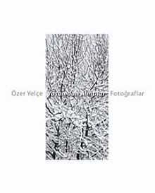 Yaşamdan Alıntılar- Fotoğraflar