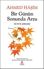 Bir Günün Sonunda Arzu & Bütün Şiirleri