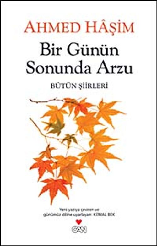 Bir Günün Sonunda Arzu & Bütün Şiirleri