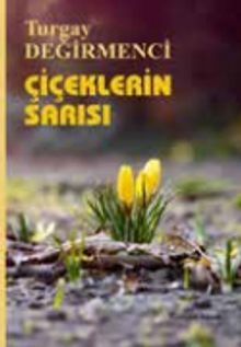 Çiçeklerin Sarısı