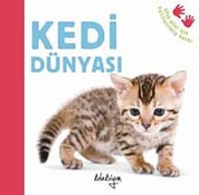 Kedi Dünyası