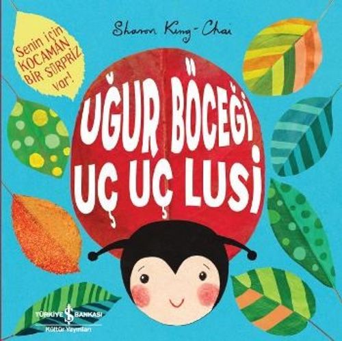Uğur Böceği Uç Uç Lusi