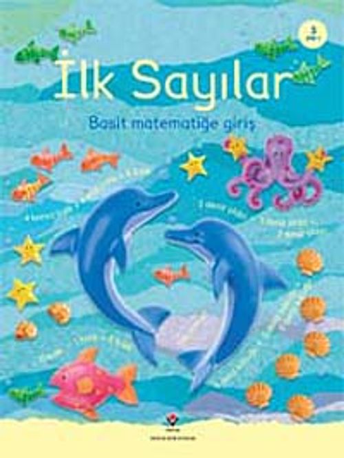 İlk Sayılar & Basit Matematiğe Giriş