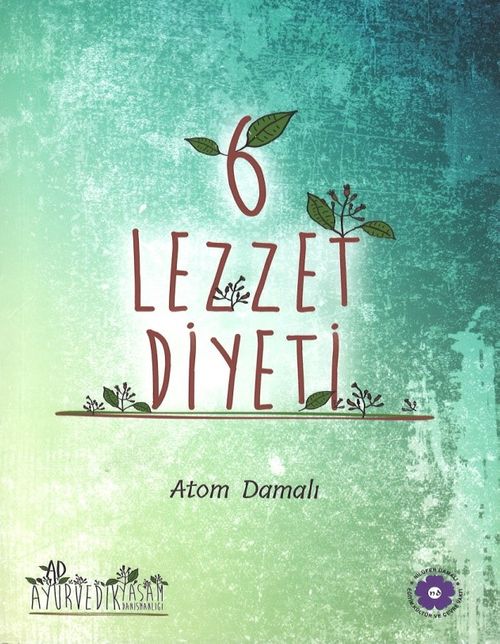 6 Lezzet Diyeti