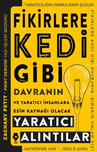 Fikirlere Kedi Gibi Davranın