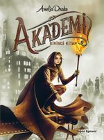 Akademi