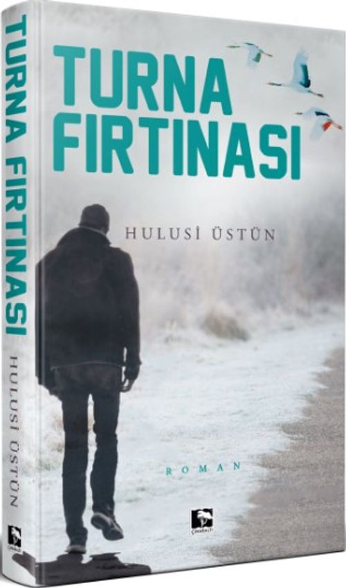 Turna Fırtınası