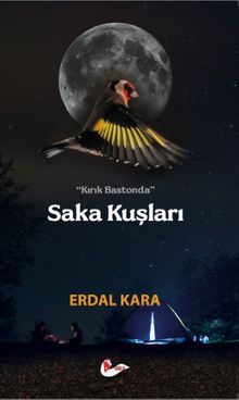 Kırık Bastonda Saka Kuşları