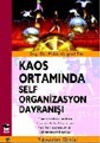 Kaos Ortamında Self Organizasyon Davranışı