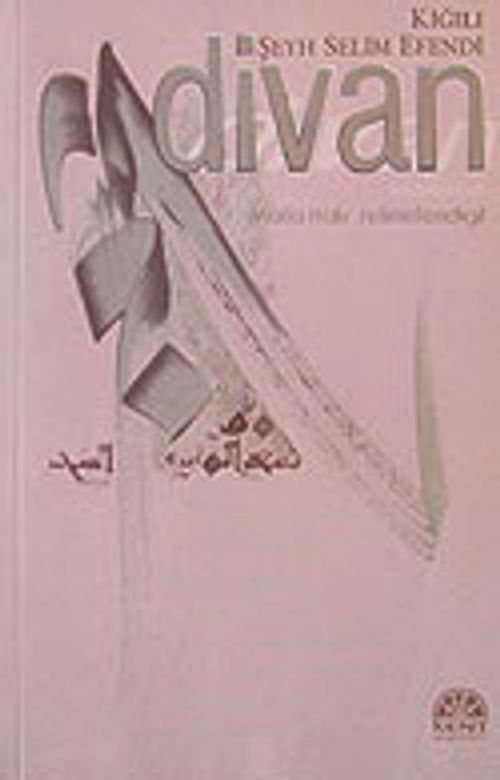 Divan / Kiğılı Şeyh Selim Efendi