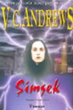 Şimşek (Hudson Serisi 2)