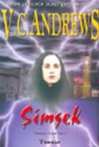 Şimşek (Hudson Serisi 2)