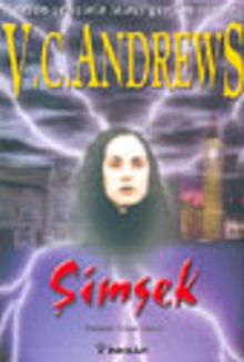 Şimşek (Hudson Serisi 2)