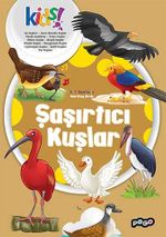 Şaşırtıcı Kuşlar / İlk Kütüphanem Serisi