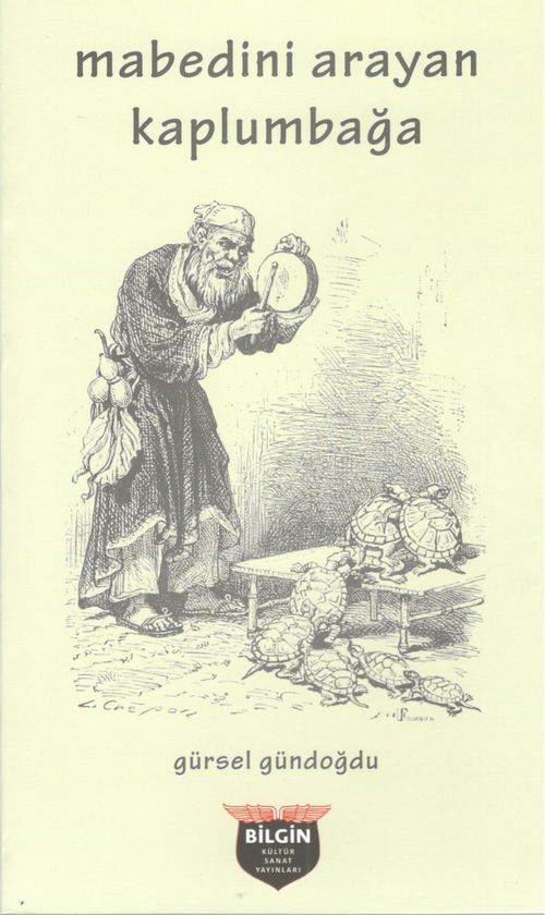 Mabedini Arayan Kaplumbağa