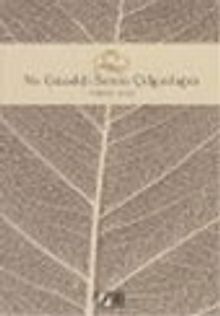 Ne Güzeldi Senin Çılgınlığın