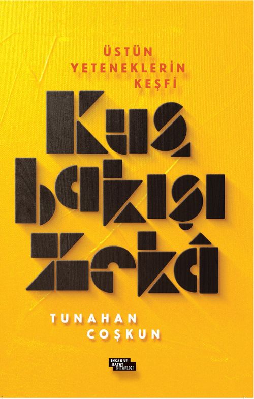 Kuş Bakışı Zeka