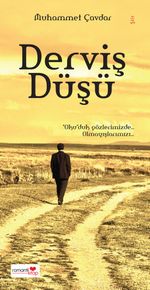 Derviş Düşü