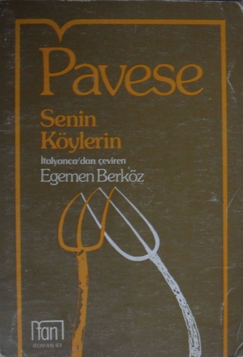 Senin Köylerin (Kod: 4-F-29)