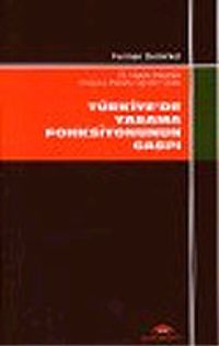 Türkiye'de Yasama Fonksiyonunun Gaspı