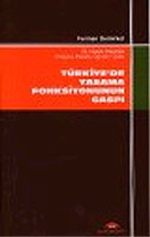 Türkiye'de Yasama Fonksiyonunun Gaspı