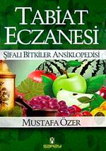 SARAY YAYIN DAĞITIM