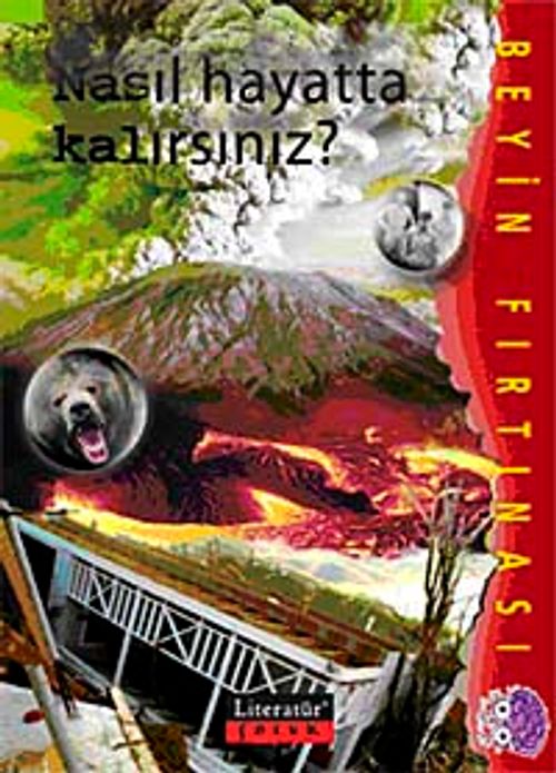 Nasıl Hayatta Kalırsınız? / Beyin Fırtınası